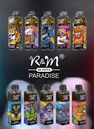 R&M Paradise 8000 Puffs Rechargeable Disposable Vape Pen