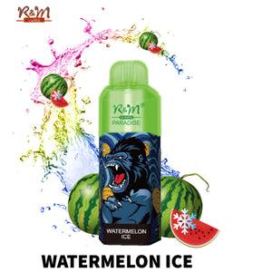 R&M Paradise 8000 Puffs Watermelon Ice Disposable Vape Online